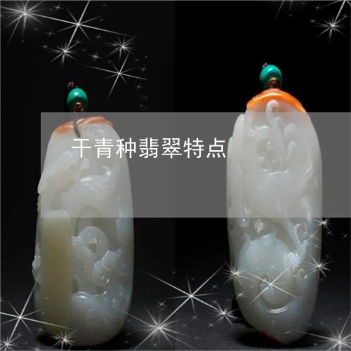 干青种翡翠特点/2023040352515 干青种翡翠特点/2023040352515