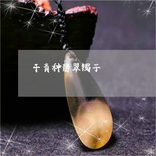 干青种翡翠镯子/2023040363806