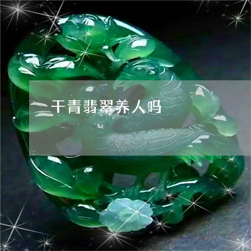 干青翡翠养人吗/2023040361704 干青翡翠养人吗/2023040361704