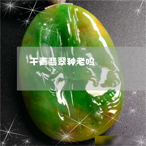 干青翡翠种老吗/2023040306248 干青翡翠种老吗/2023040306248