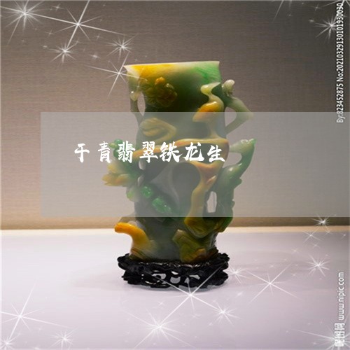 干青翡翠铁龙生/2023040306379