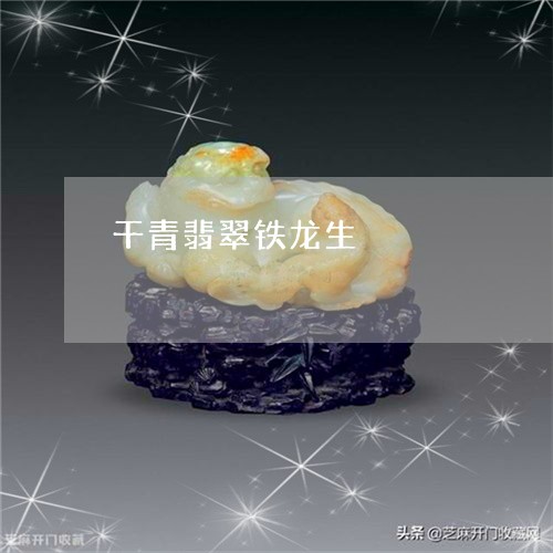 干青翡翠铁龙生/2023040346248