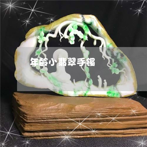 年龄小翡翠手镯/2023040349252