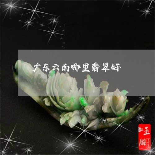 广东云南哪里翡翠好/2023042140270