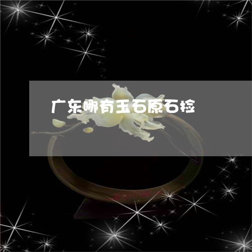 广东哪有玉石原石捡/2023042159481