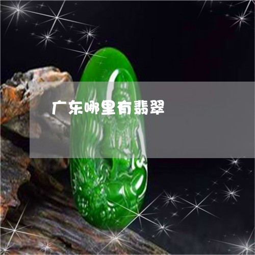 广东哪里有翡翠/2023040330481 广东哪里有翡翠/2023040330481