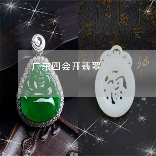 广东四会开翡翠/2023040330472 广东四会开翡翠/2023040330472