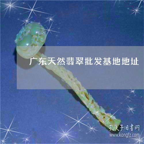广东天然翡翠批发基地地址/2023062807938