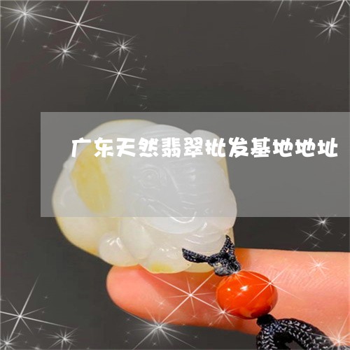 广东天然翡翠批发基地地址/2023062841069
