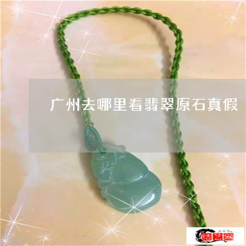 广州去哪里看翡翠原石真假/2023061908482 广州去哪里看翡翠原石真假/2023061908482