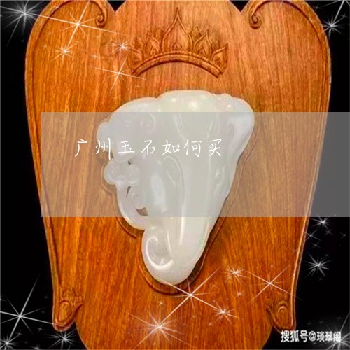 广州玉石如何买/2023040232613 广州玉石如何买/2023040232613