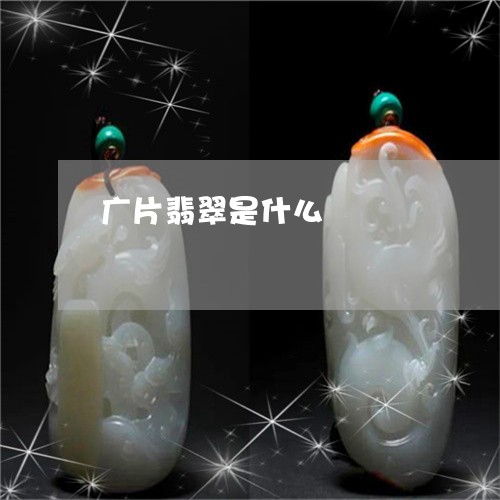 广片翡翠是什么/2023040238271 广片翡翠是什么/2023040238271