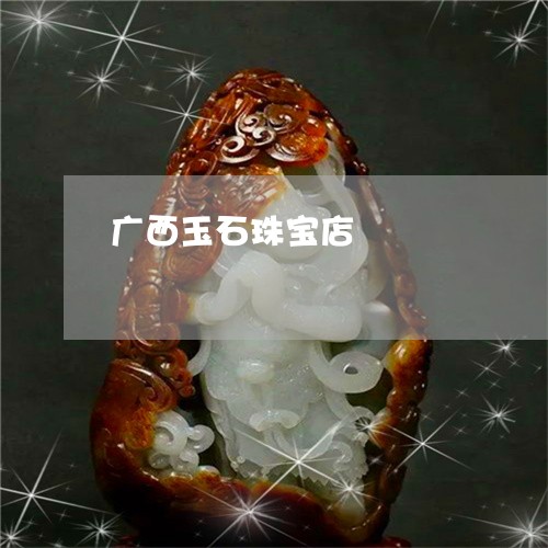 广西玉石珠宝店/2023040286250