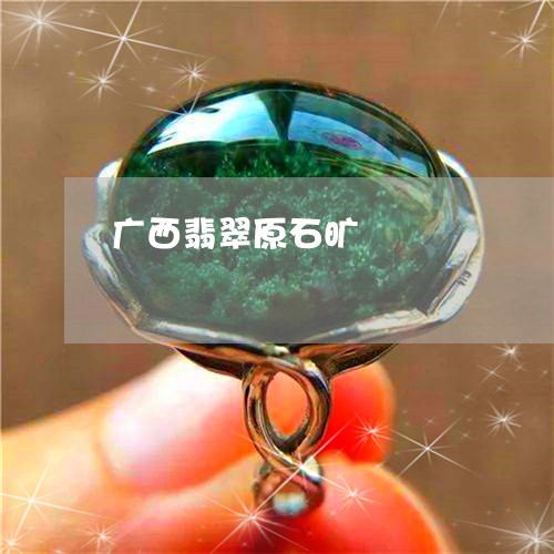 广西翡翠原石旷/2023040293715 广西翡翠原石旷/2023040293715