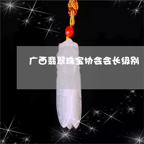 广西翡翠珠宝协会会长级别/2023061991626