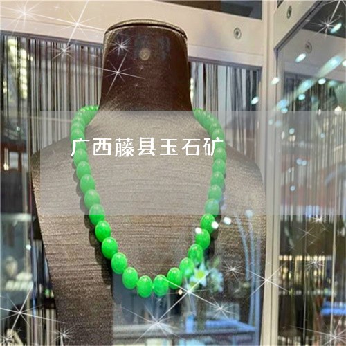 广西藤县玉石矿/2023040265037