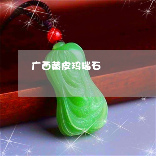 广西黄皮玛瑙石/2023040212604 广西黄皮玛瑙石/2023040212604