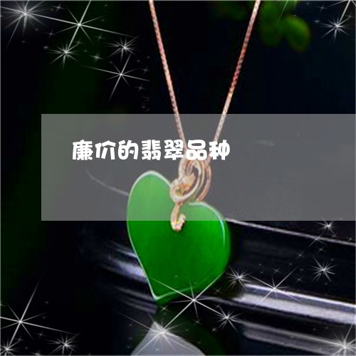 廉价的翡翠品种/2023040217948