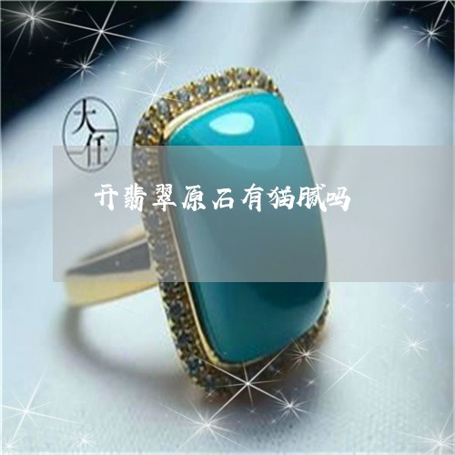 开翡翠原石有猫腻吗 开翡翠原石有猫腻吗
