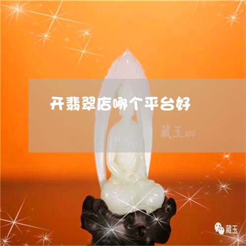 开翡翠店哪个平台好