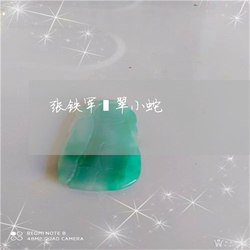 张铁军翡翠小蛇/2023040289150 张铁军翡翠小蛇/2023040289150