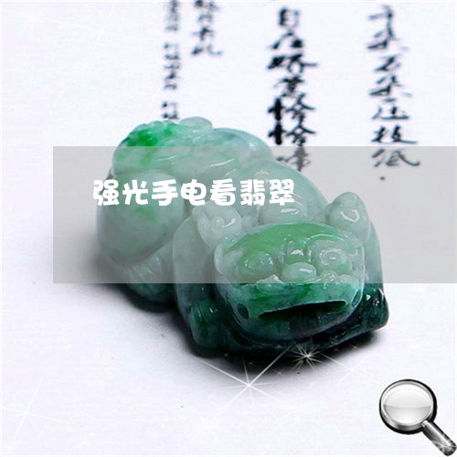 强光手电看翡翠/2023040250681 强光手电看翡翠/2023040250681