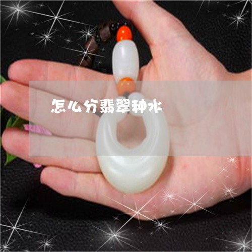 怎么分翡翠种水/2023040260605 怎么分翡翠种水/2023040260605