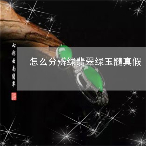 怎么分辨绿翡翠绿玉髓真假/2023061941814