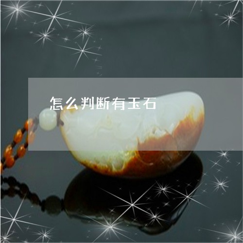 怎么判断有玉石/2023040146168 怎么判断有玉石/2023040146168