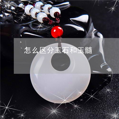 怎么区分玉石和玉髓 怎么区分玉石和玉髓