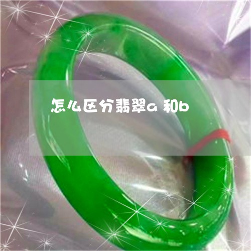 怎么区分翡翠a和b 怎么区分翡翠a和b