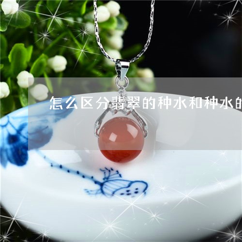 怎么区分翡翠的种水和种水的区别/2023071272938