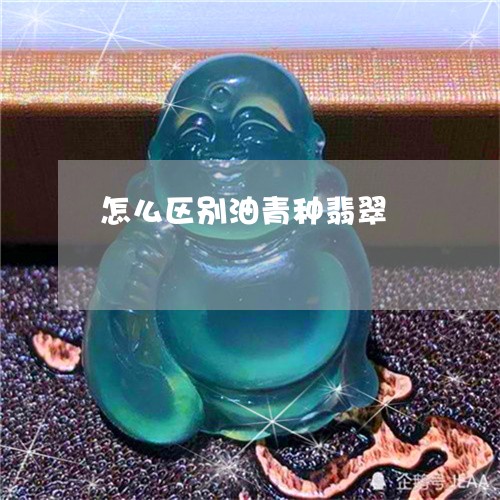 怎么区别油青种翡翠