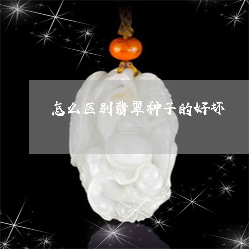 怎么区别翡翠种子的好坏/2023061964056