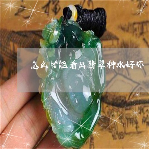 怎么才能看出翡翠种水好坏/2023061992819 怎么才能看出翡翠种水好坏/2023061992819