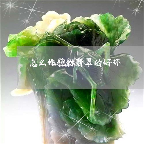 怎么挑貔貅翡翠的好坏/2023061785949