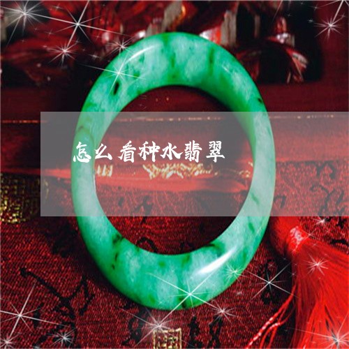 怎么看种水翡翠/2023040273837 怎么看种水翡翠/2023040273837