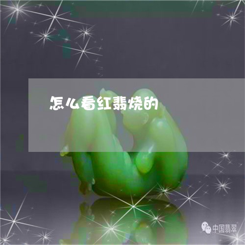 怎么看红翡烧的/2023040294946