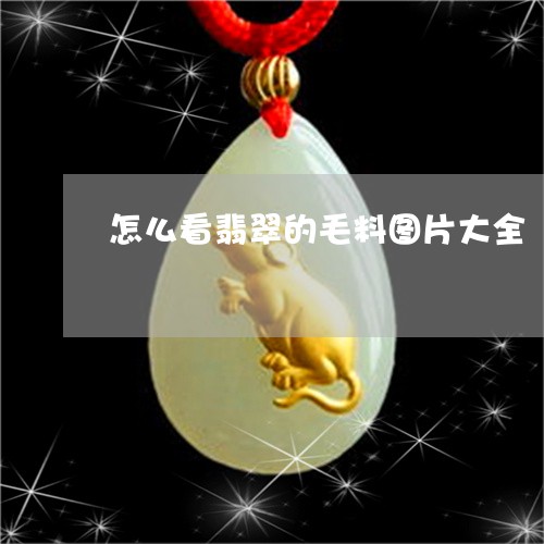 怎么看翡翠的毛料图片大全/2023061911704