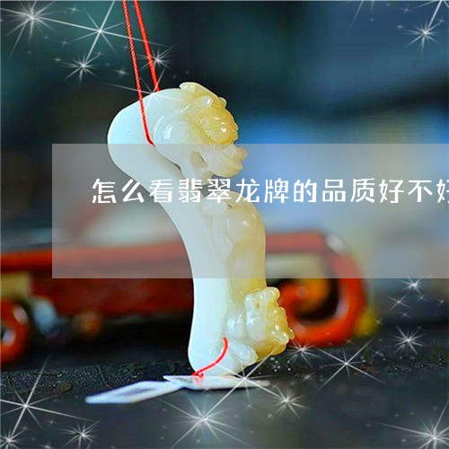 怎么看翡翠龙牌的品质好不好/2023071207369