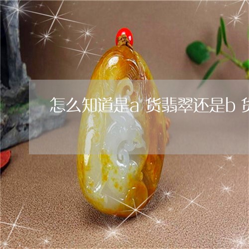 怎么知道是a货翡翠还是b货/2023063083803