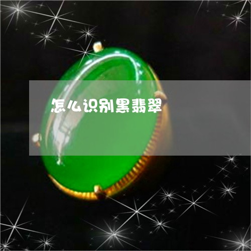 怎么识别黑翡翠/2023040228373 怎么识别黑翡翠/2023040228373