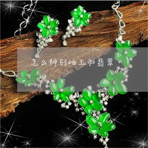 怎么辨别岫玉和翡翠