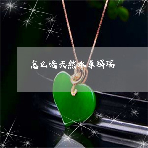 怎么选天然水草玛瑙 怎么选天然水草玛瑙