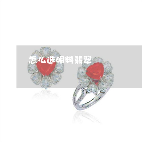 怎么选明料翡翠/2023040242491 怎么选明料翡翠/2023040242491