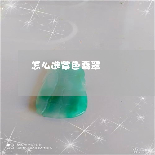 怎么选紫色翡翠/2023040239473