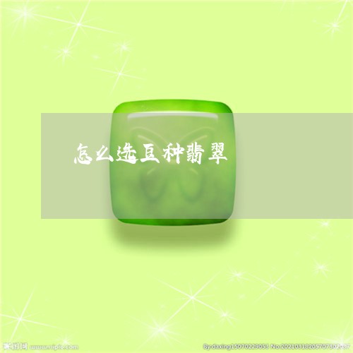 怎么选豆种翡翠/2023040242503 怎么选豆种翡翠/2023040242503