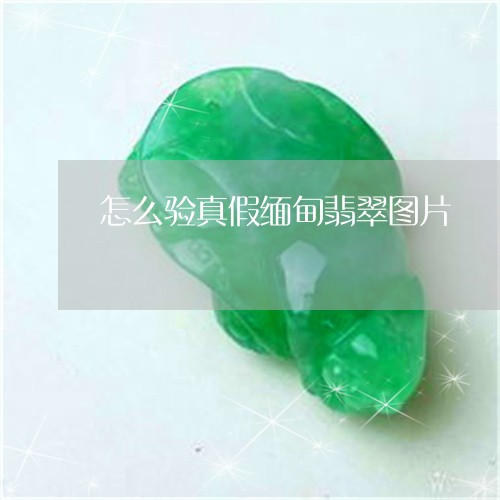 怎么验真假缅甸翡翠图片/2023061930270 怎么验真假缅甸翡翠图片/2023061930270