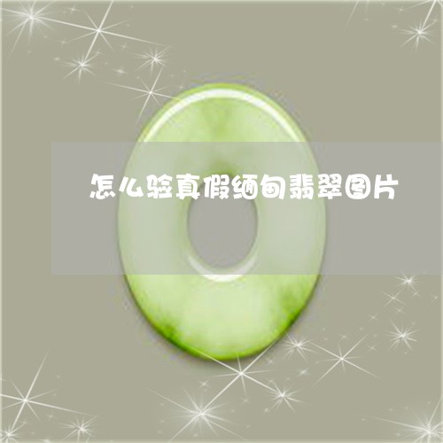 怎么验真假缅甸翡翠图片/2023062718483