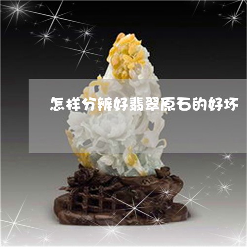 怎样分辨好翡翠原石的好坏/2023061909505